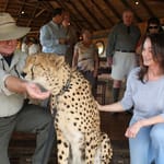 Ron Lynn Huff Cheetah Zimbabwe