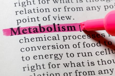 decreased Metabolism from exercising too much