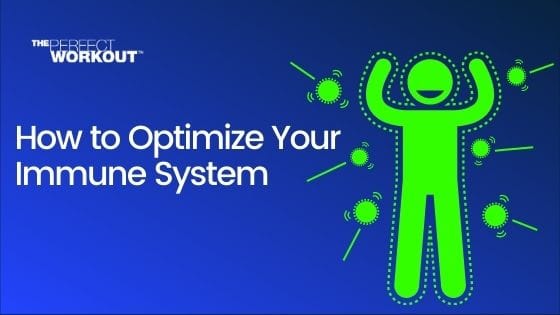 Optimize Your Immune System