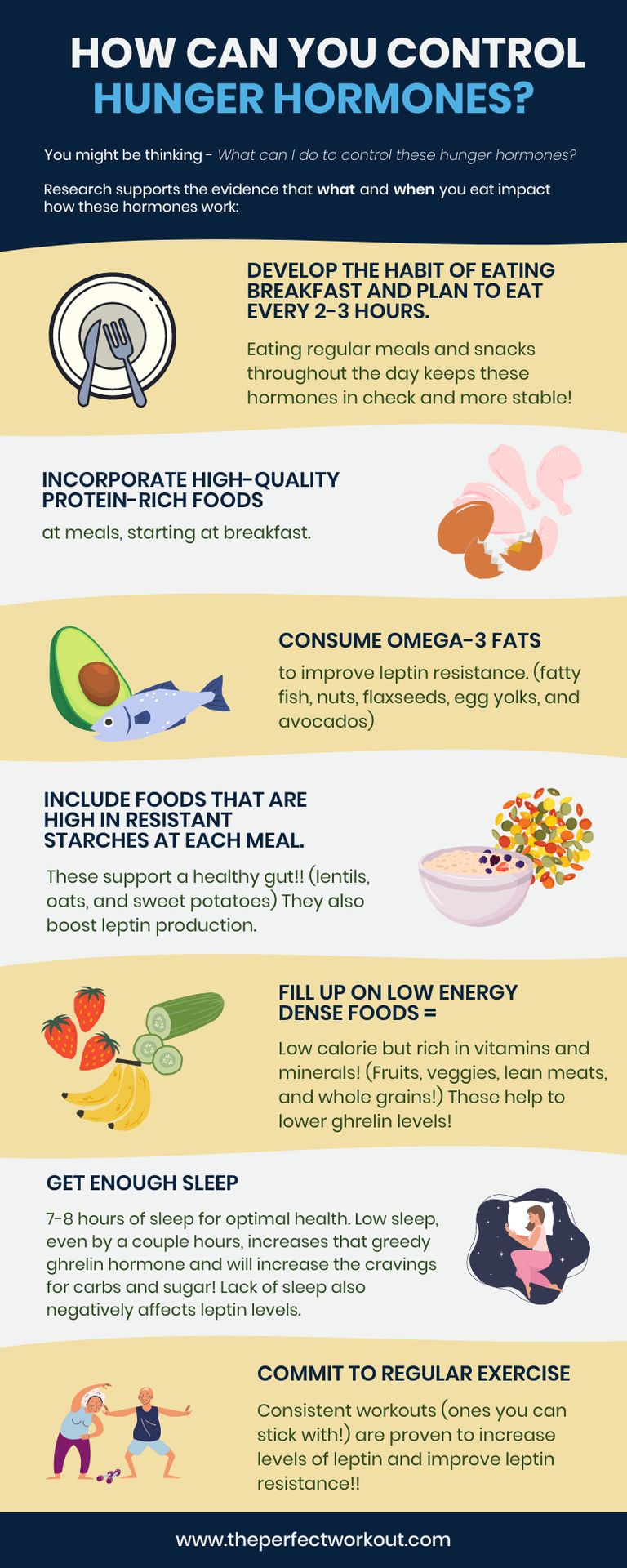 An Infographic about Hunger Hormones