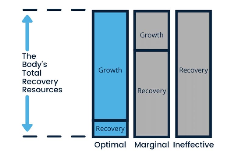 Graph of the body's total recovery resources