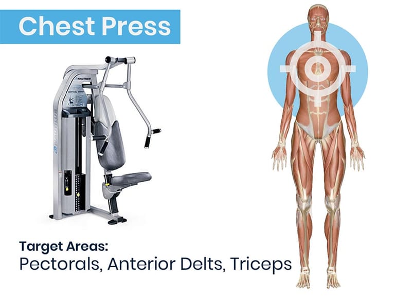 Chest Press Machine and Anatomy Graphic of muscles