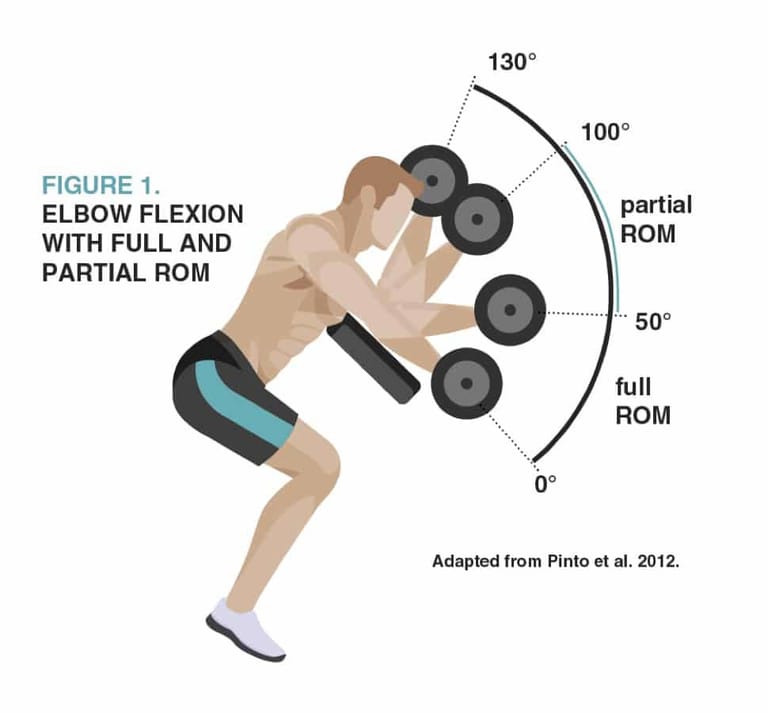 Full and Partial Range of Motion