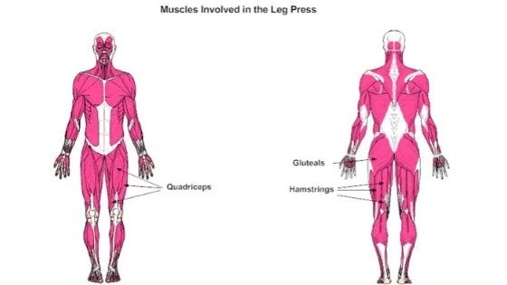 Fitness Trainer Carlsbad CA