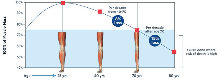 muscle loss aging infographic