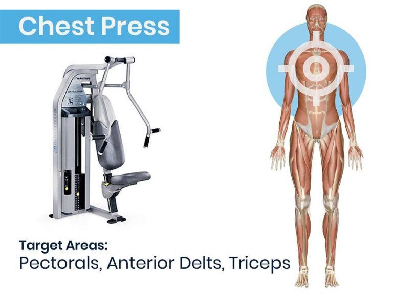 Chest Press Machine and Anatomy Graphic of muscles