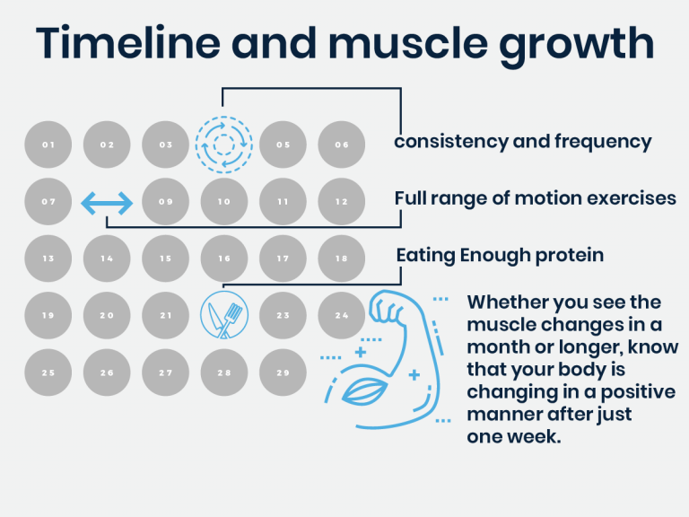 How Long Does it Take to Build Muscle? - The Perfect Workout