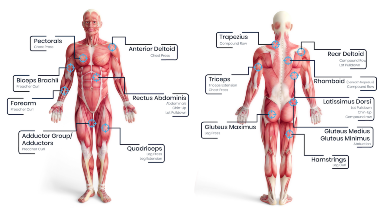 Updated Corresponding Exercises Chart