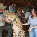 Ron Lynn Huff Cheetah Zimbabwe
