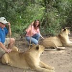 Ron Lynn Huff Petting Lions Zimbabwe