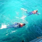 Ron Lynn Huff Snorkeling Great Barrier Reef