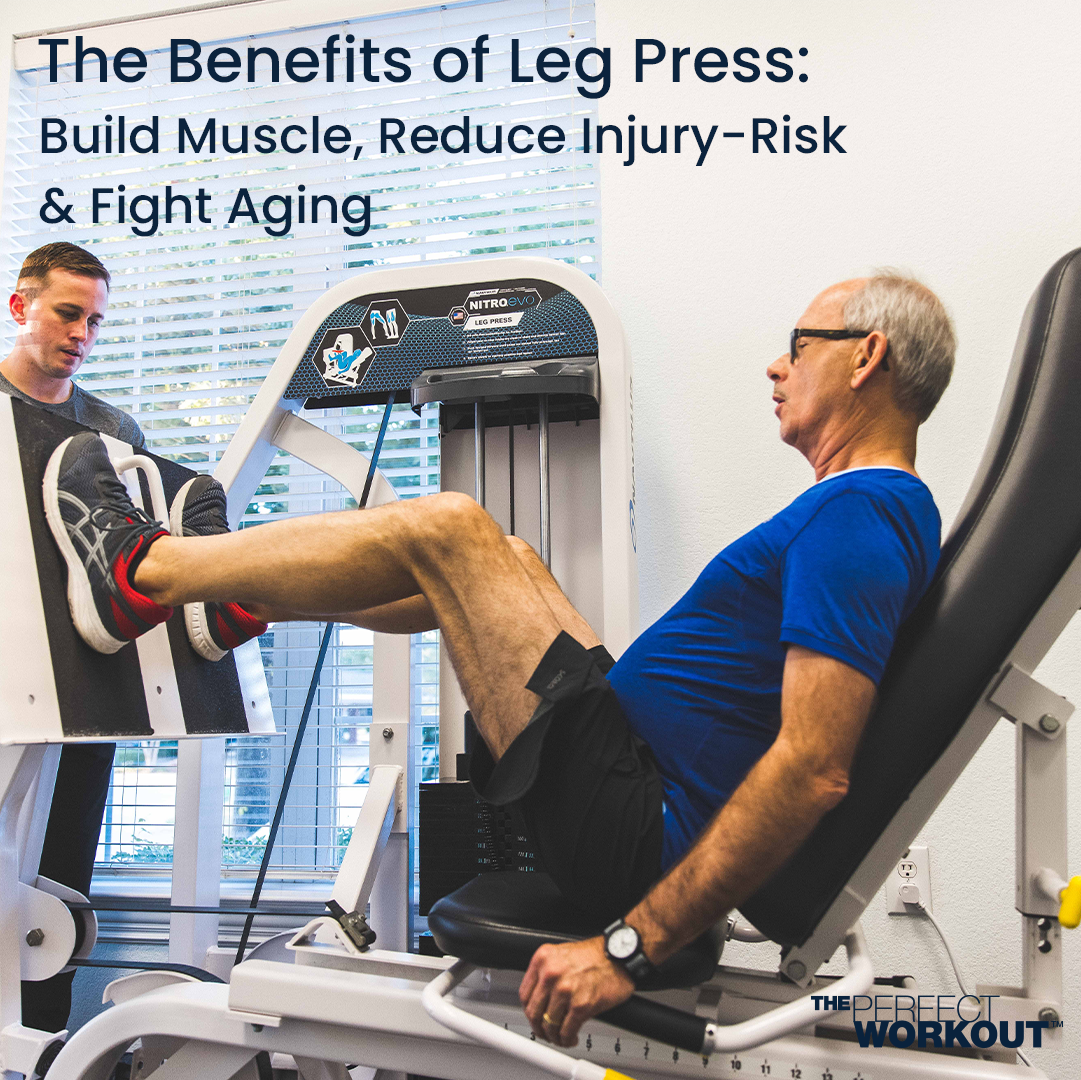 gesprek bezoek Elasticiteit Benefits of Leg Press: Build Muscle + Reduce Injury - The Perfect Workout