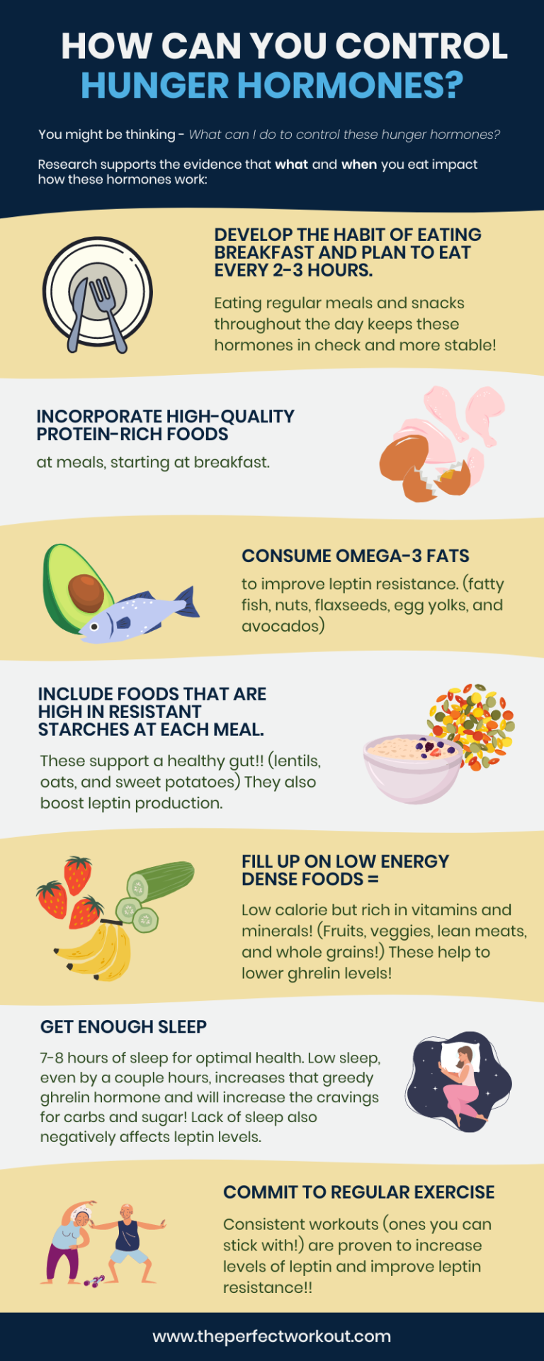 An Infographic about Hunger Hormones
