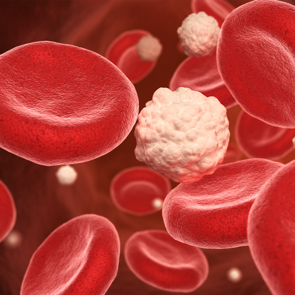 Glucose in the blood stream