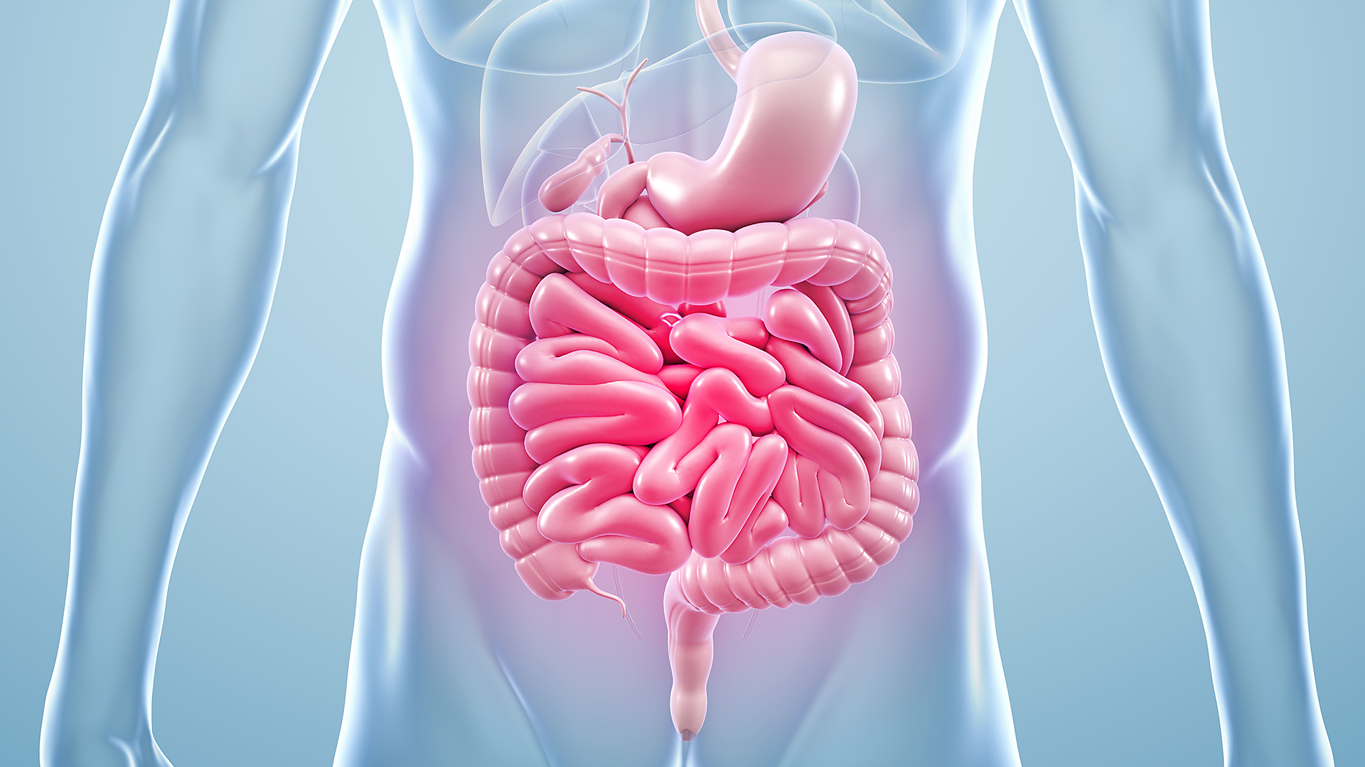Exercise for Gut Health: The Link Between Exercise and Digestive Disorders