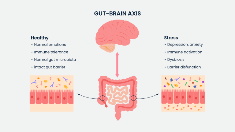 The gut brain axis