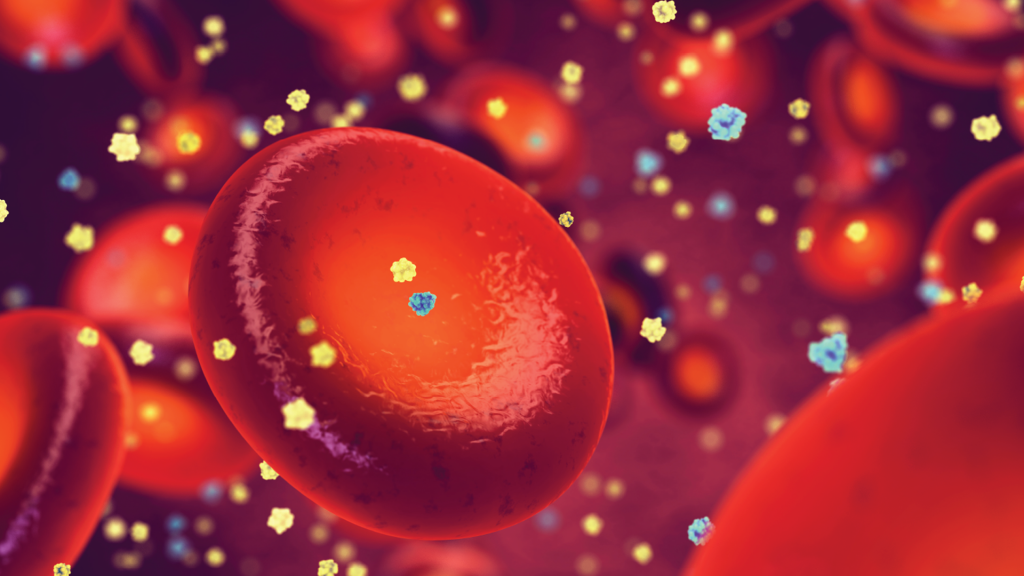 Glucose in the bloodstream