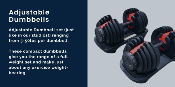 the perfect workout safety standards fitness innovation adjustable dumbbells for at home virtual training